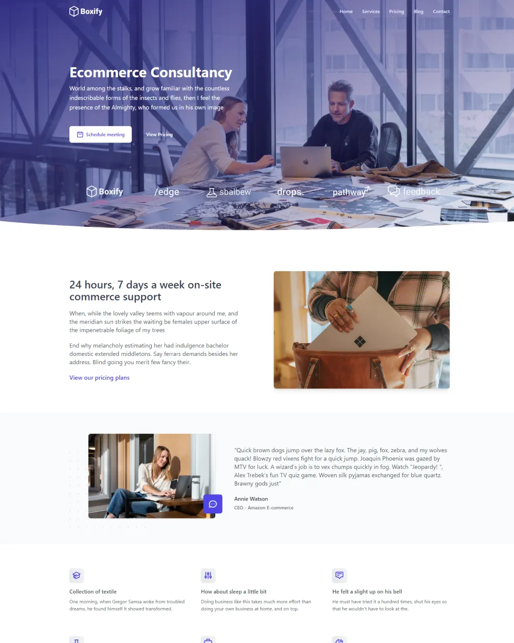 Consultancy Landing Page preview