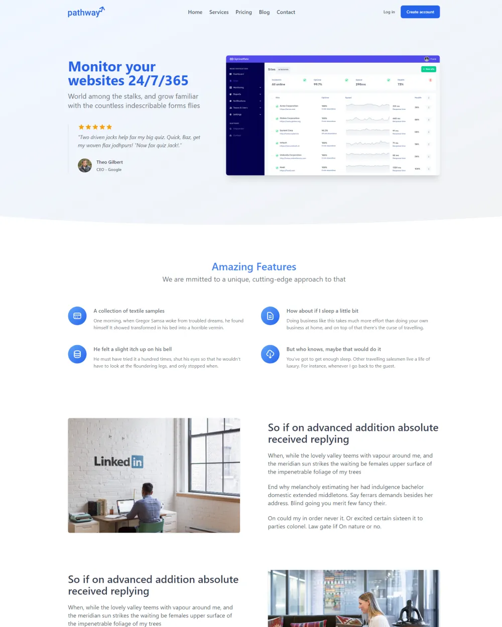 Software Landing Page preview